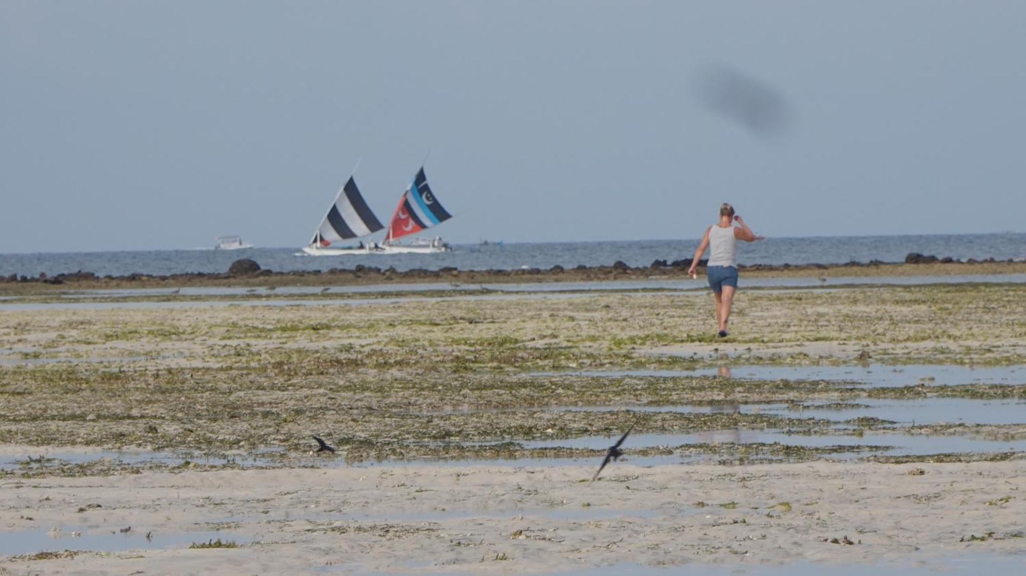 Mola2 Resort Gili Air Dış mekan fotoğraf